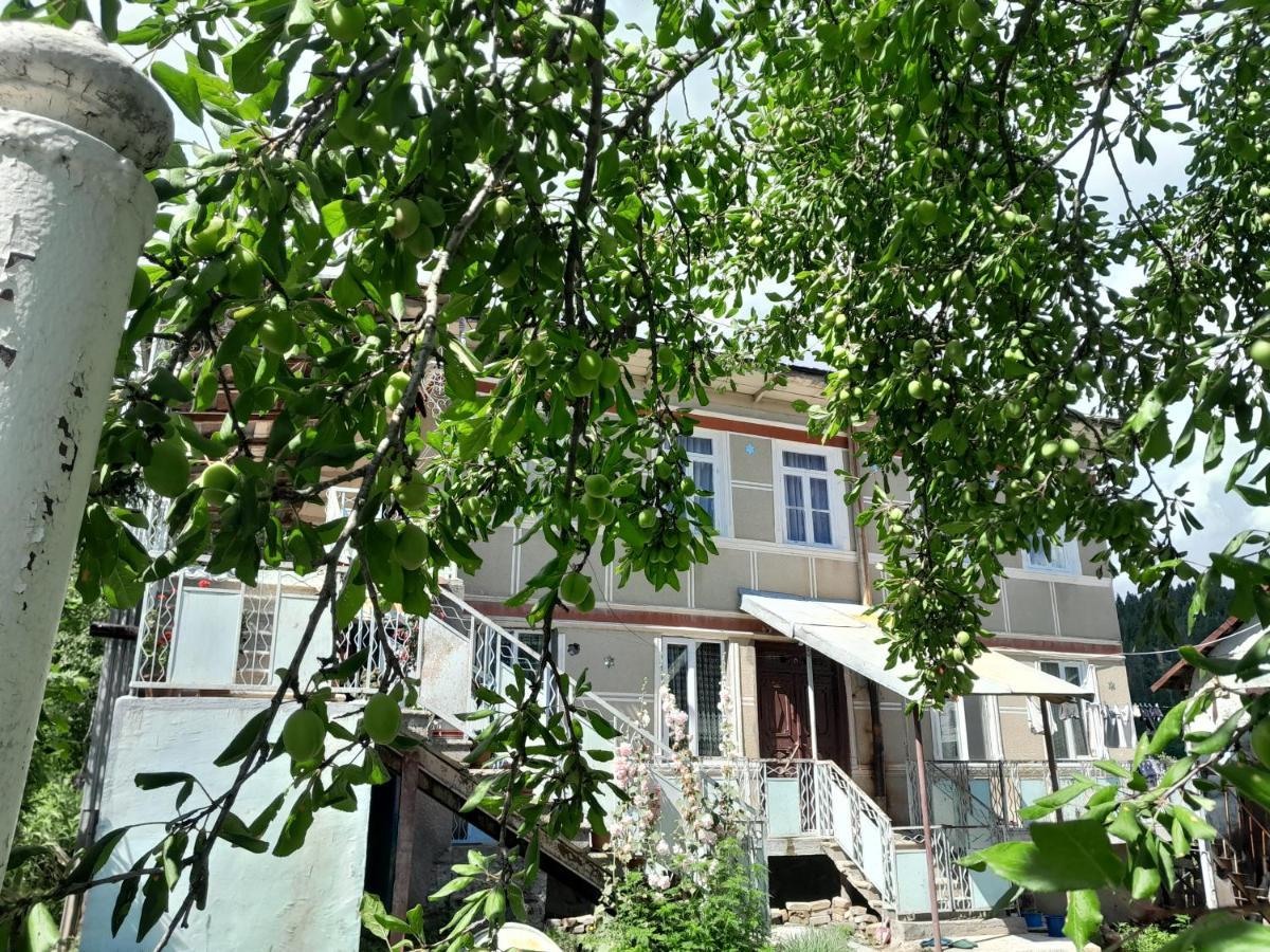 Hotel Armazi à Khulo Extérieur photo